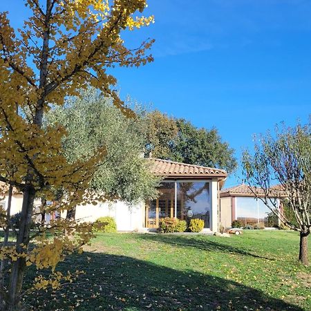 Le Clos Castel - Gite Equipe Casteljaloux Εξωτερικό φωτογραφία